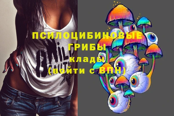 spice Алзамай