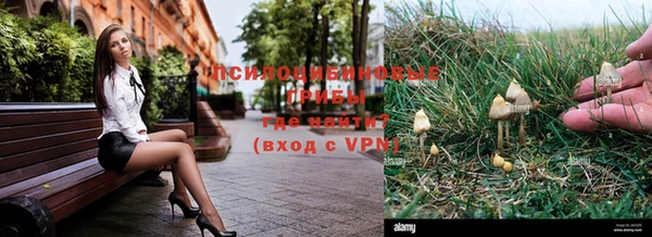 spice Алзамай