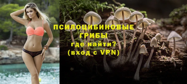 spice Алзамай