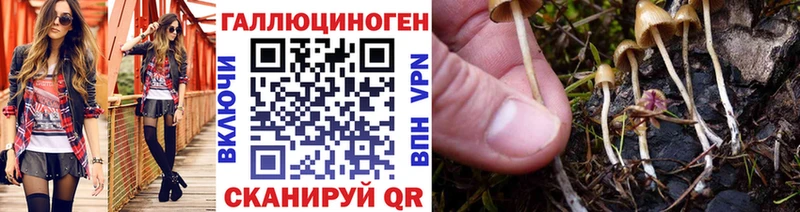 Галлюциногенные грибы GOLDEN TEACHER  Купить где  Воскресенск 